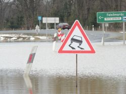 kormorankenu